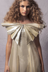 shinny long gown for kids with large butterfly on the front and crystal beads fringe