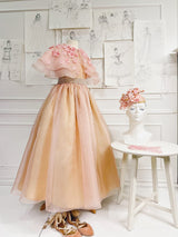 Gardens of Paris silk dress