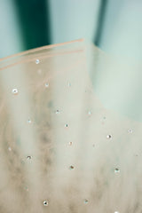 embellished with sparkling crystals