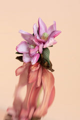 BLOOMING MAGNOLIA PIN