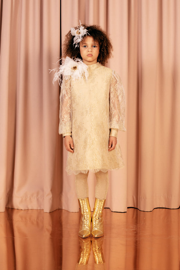 Beige knee-length A line lace dress with sheer bishop sleeves and a soft 100 % silk lining.